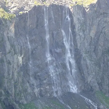 Daire Annelies Kauns