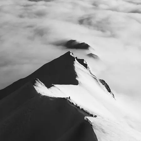 Daire Annelies Kauns